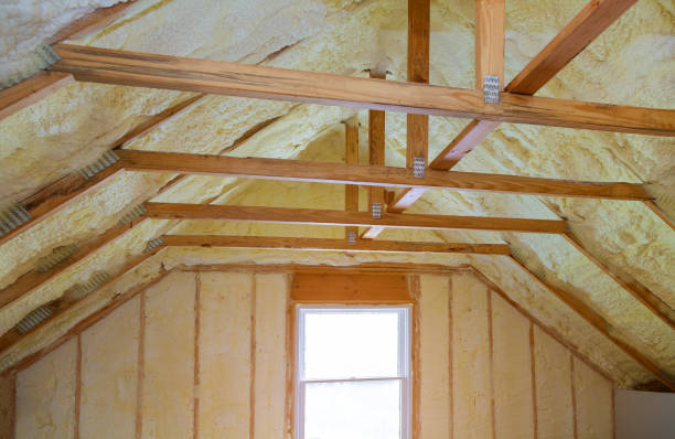 Best Geographic-Specific Insulation Services in Perry, FL