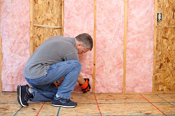 Best Blown-in Insulation in Perry, FL